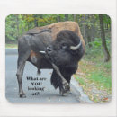 Recherche de bison tapis souris Animaux