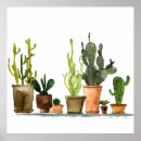 Recherche de dessin de cactus posters Fleur