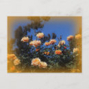 Search for sun flower postcards Retro