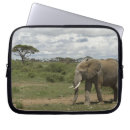 Search for amboseli national park electronics Africa