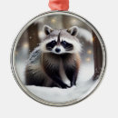Recherche de raccoon ornements Faune