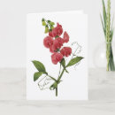 Search for sweet pea flowers postcards Bouquet