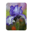 Recherche de joli magnets Jardin