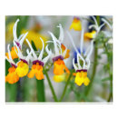 Recherche de miniatures posters Blanc
