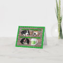 Search for green clovers cards Luck