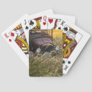 Search for danita delimont playing cards Backcountry