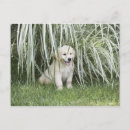 Search for front yard postcards Horizontal
