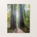 Recherche de arbre puzzles Parc national