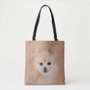Search for pomeranian bags Cute