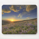 Recherche de fleurs montagne tapis souris Coucher du soleil