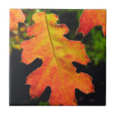 Search for oak leaf tiles Superstock