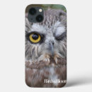 Search for saw shell Owl