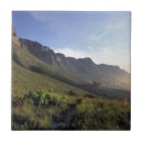 Search for western tiles Nature