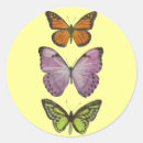 Search for triple stickers Green