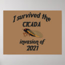Search for entomology posters Cicada