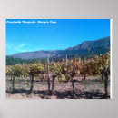 Search for vineyard posters Wine
