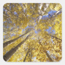 Search for pacific northwest stickers Autumn