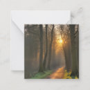 Search for tranquil cards Forest