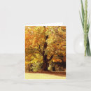 Recherche de cards thanksgiving thanksgiving cartes Leaves