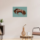 Recherche de cheval vintage posters Bronco