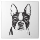 Recherche de boston carreaux Animal
