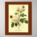 Recherche de rosa posters Jardin