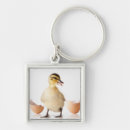 Search for the hatch keychains Hatching