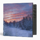 Search for sunset sky binders Usa