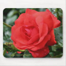 Search for droplets mousepads Botanical