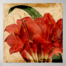 Search for vibrant posters Floral
