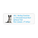 Search for collie return address labels Border collies
