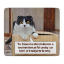 Recherche de humour chat de ustensiles cuisine Chats