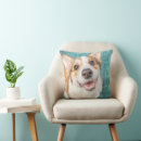 Search for cute corgi pillows Pembroke welsh corgi