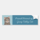 Search for cat in bumper stickers Cute