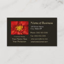 Recherche de dahlia cartes visite Photographie