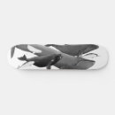Search for whale skateboards Illustration
