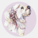 Recherche de pyrénées autocollants Animaux