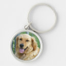 Search for golden lab keychains Dogs