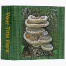 Search for fungi binders Forest