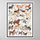 Recherche de dog breed posters Chien