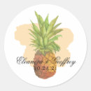Search for hawaiian island stickers Pineapple