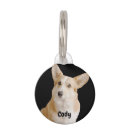 Recherche de photo pet tags Moderne