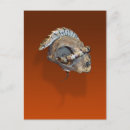 Search for skull bone postcards Creepy