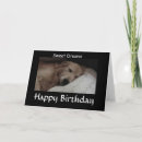 Recherche de dog birthday cards Pup