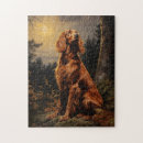 Search for irish setter puzzles Ireland