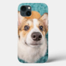 Search for puppy face iphone cases Cute