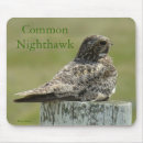 Search for nighthawk Outdoors