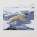 Search for extend postcards Blue
