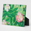 Search for wild plaques Rose