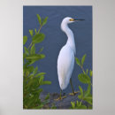 Recherche de oiseaux de marais art Faune